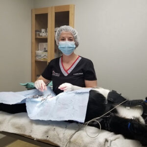 Surgery