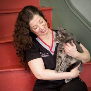 Pet Wellness Exams
